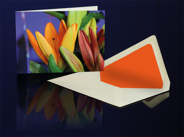 Greeting Card Golden Lily from the Katharine Siegling Colletion