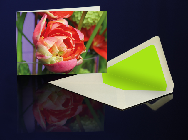 Greeting Card French Tulip from the Katharine Siegling Colletion