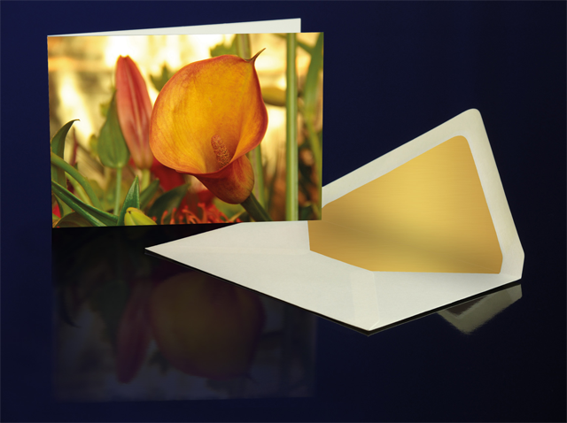 Greeting Card Golden Aurum Lily from the Katharine Siegling Colletion